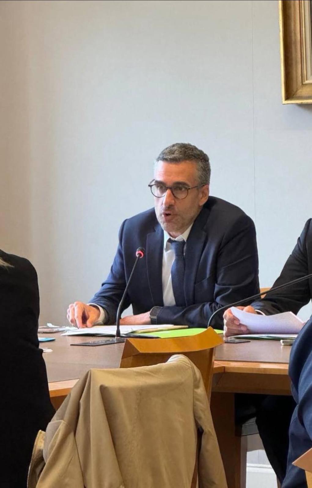 Yan Chantrel - Conclusion sur mon rapport sur la francophonie auprès de la commission