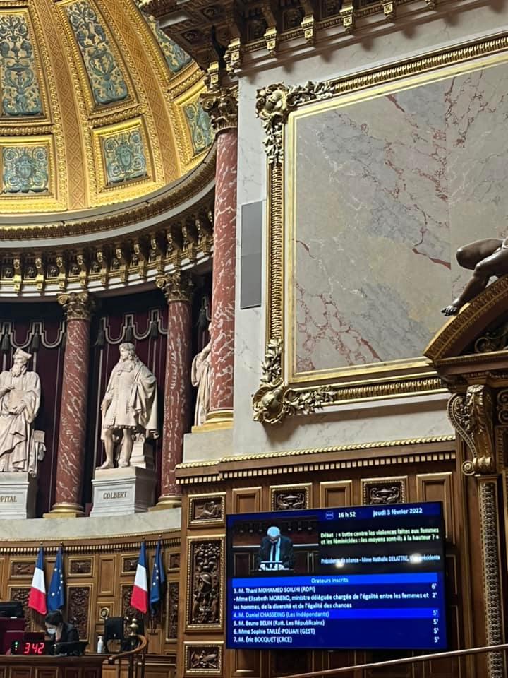 Yan Chantrel - Débat au sénat sur la lutte contre les violences faites aux femmes et les féminicides