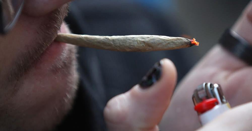 Yan Chantrel - Tribune pour la légalisation du cannabis en France